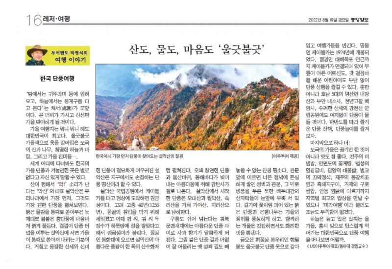 한국단풍.jpg