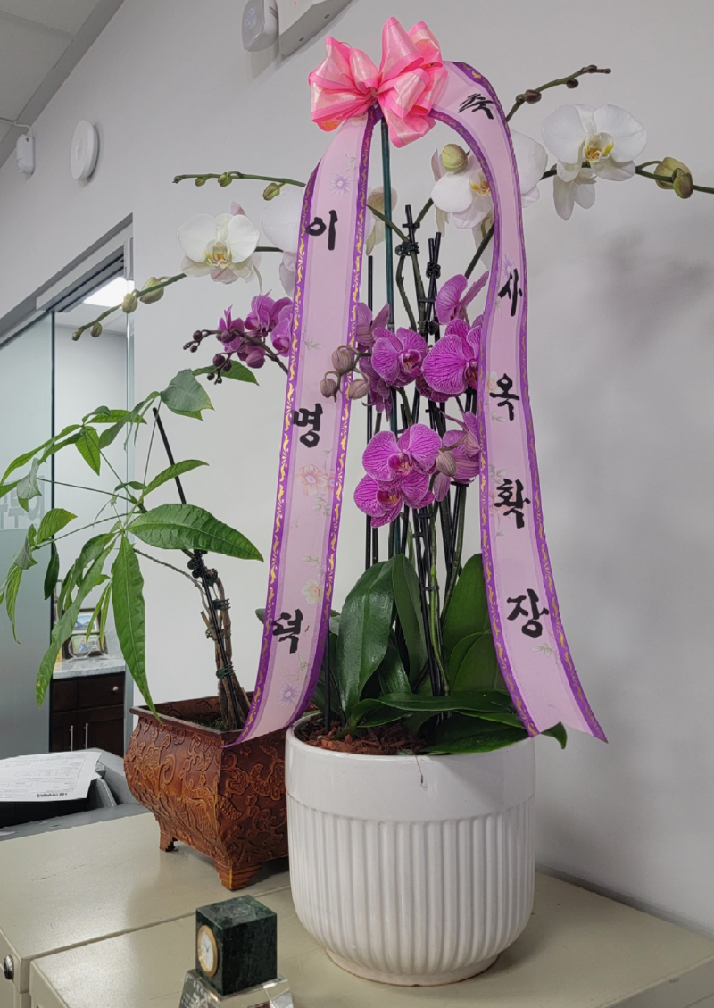 KakaoTalk_20240513_012504708_11.jpg