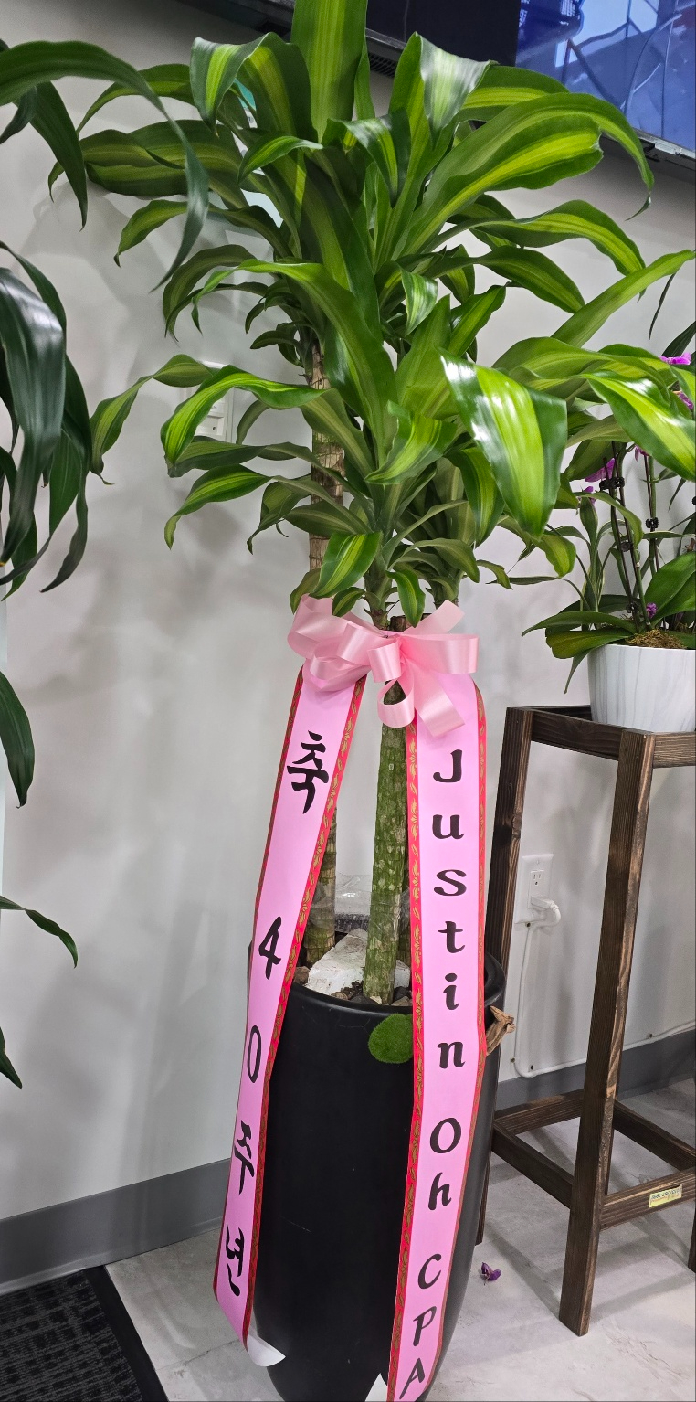 KakaoTalk_20240629_054628682.jpg