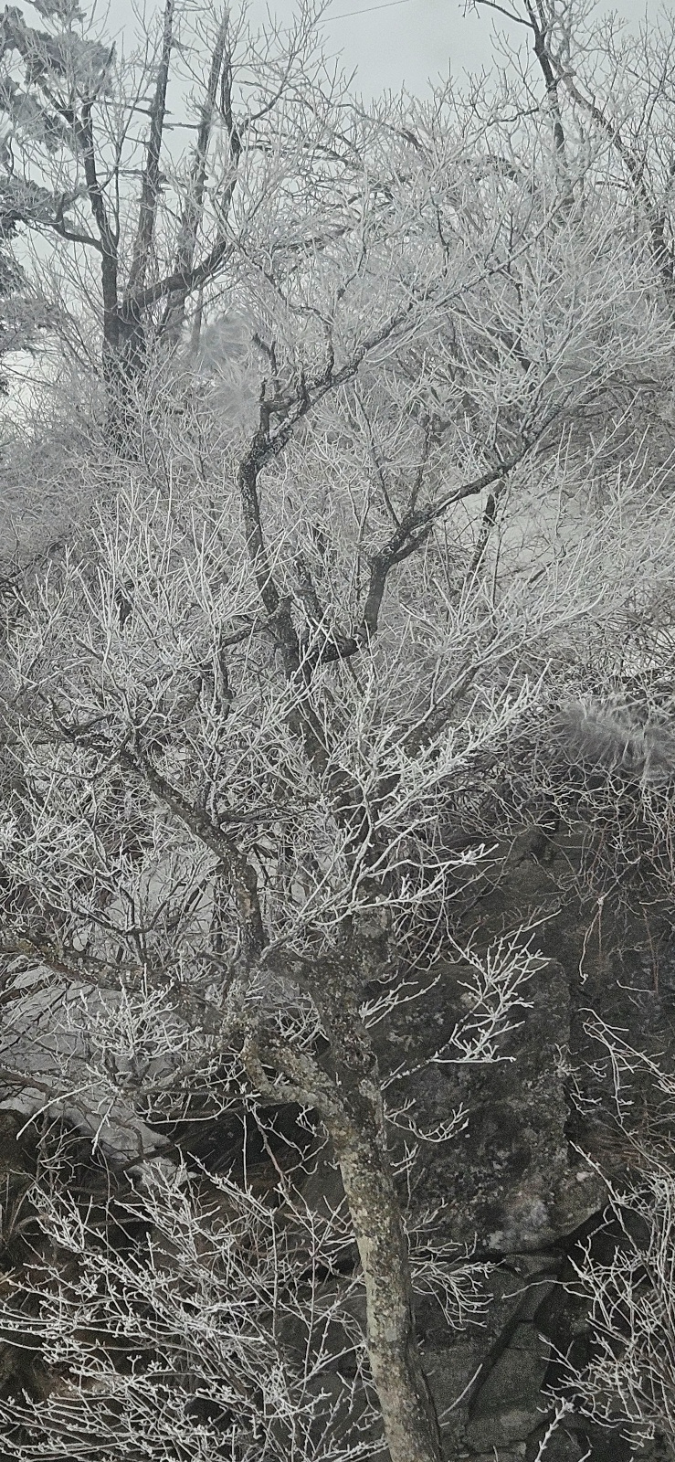 KakaoTalk_20250328_113108673_06.jpg