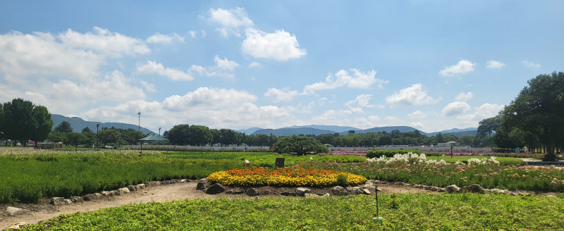 KakaoTalk_20250714_111805453_03.jpg