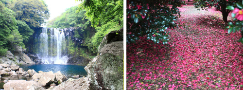 제목을-입력해주세요_-041 (1).jpg